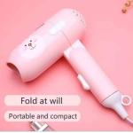 চুল শুকানোর হেয়ার ড্রায়ার মেশিন