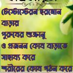 অল প্রোটিন