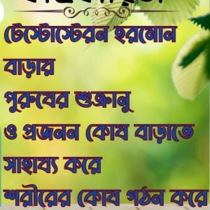 অল প্রোটিন