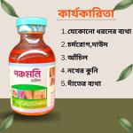 পঞ্চমলি মালিশ