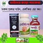 দাউদের কম্বো প্যাকেজ