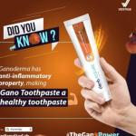 Assure(গ্যানো টুথপেষ্ট)