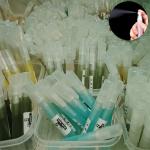 10 Pics Pocket Perfume (Sample / testing perfume)