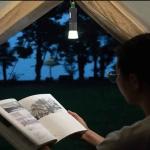 টর্চ লাইট