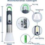 টর্চ লাইট