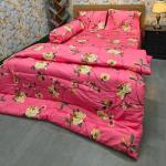 5-Piece Towel Premium Comforter Combo Set